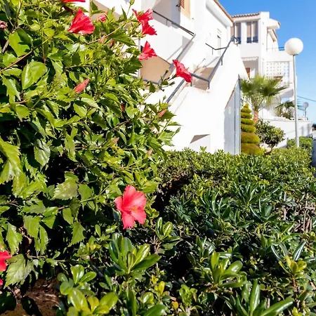 Mi Perla Apartment Torrevieja Exterior photo